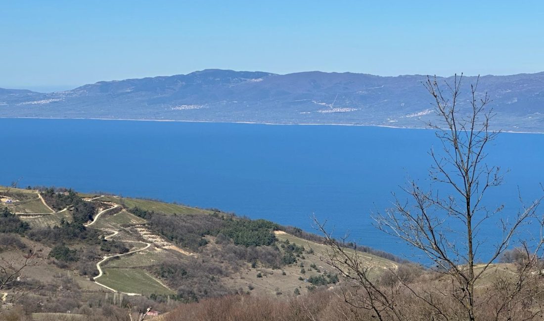 Yaklaşık 700 rakımlı mahalle; sağ tarafında İznik Gölü ve Orhangazi,