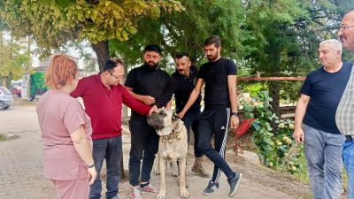 Başmakçı İlçe Tarım ve Orman Müdürlüğü teknik personelleri tarafından yürütülen