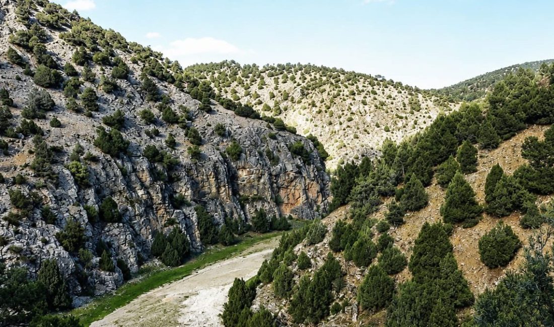 Beş farklı şehirdeki tarih bölümü öğrencilerinin bir araya geleceği, tanışacağı