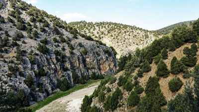 Beş farklı şehirdeki tarih bölümü öğrencilerinin bir araya geleceği, tanışacağı