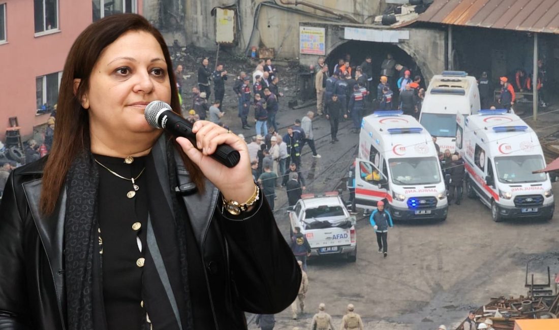 Zonguldak’ın Kilimli ilçesine bağlı Gelik beldesinde faaliyet gösteren özel bir