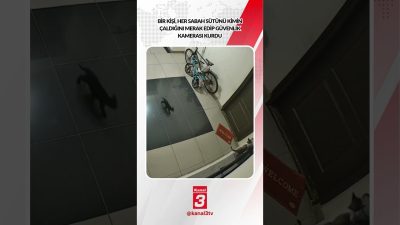 Bir kişi, her sabah sütünü kimin çaldığını merak edip güvenlik