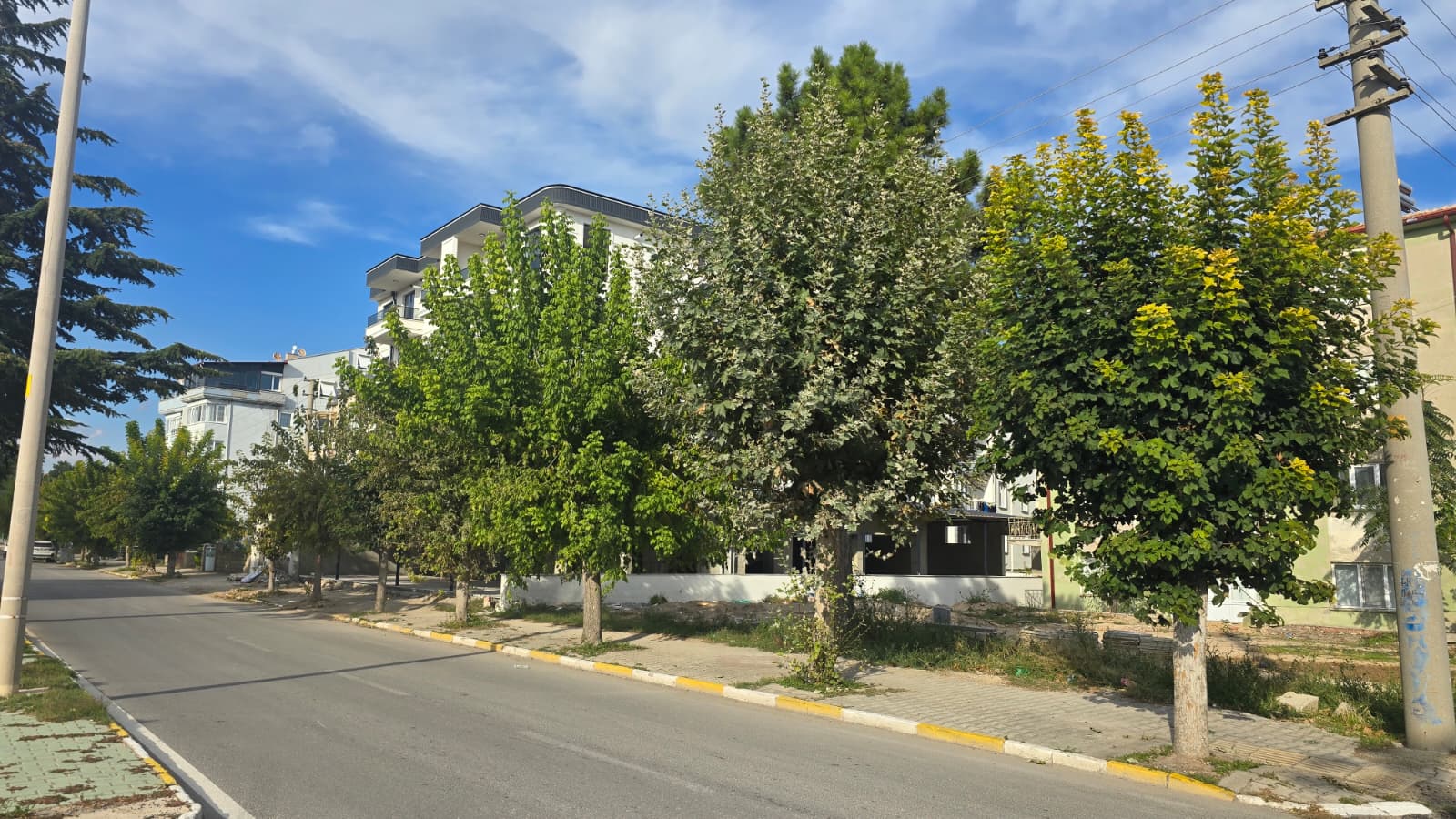 İstasyon Caddesi’nde yeşil dokunuş