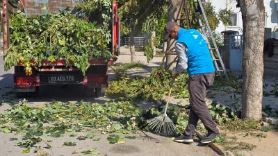 Fen İşleri Müdürlüğü Park ve Bahçeler ekiplerince yürütülen çalışmalar kapsamında
