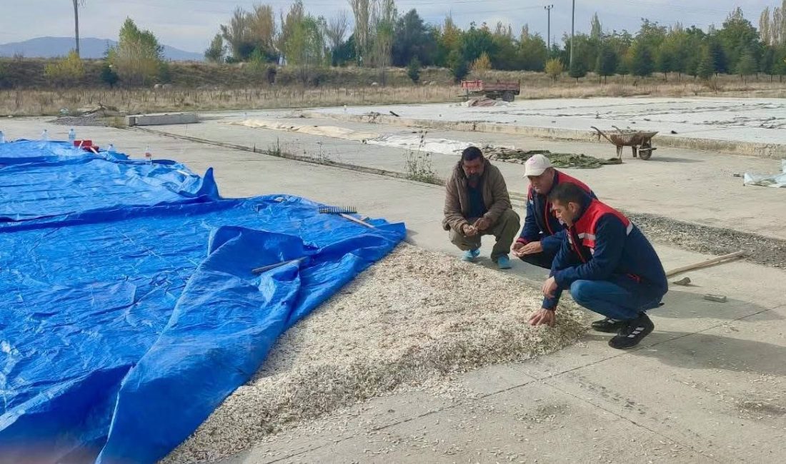 Çay İlçe Tarım ve Orman Müdürlüğü teknik personelleri tarafından gerçekleştirilen