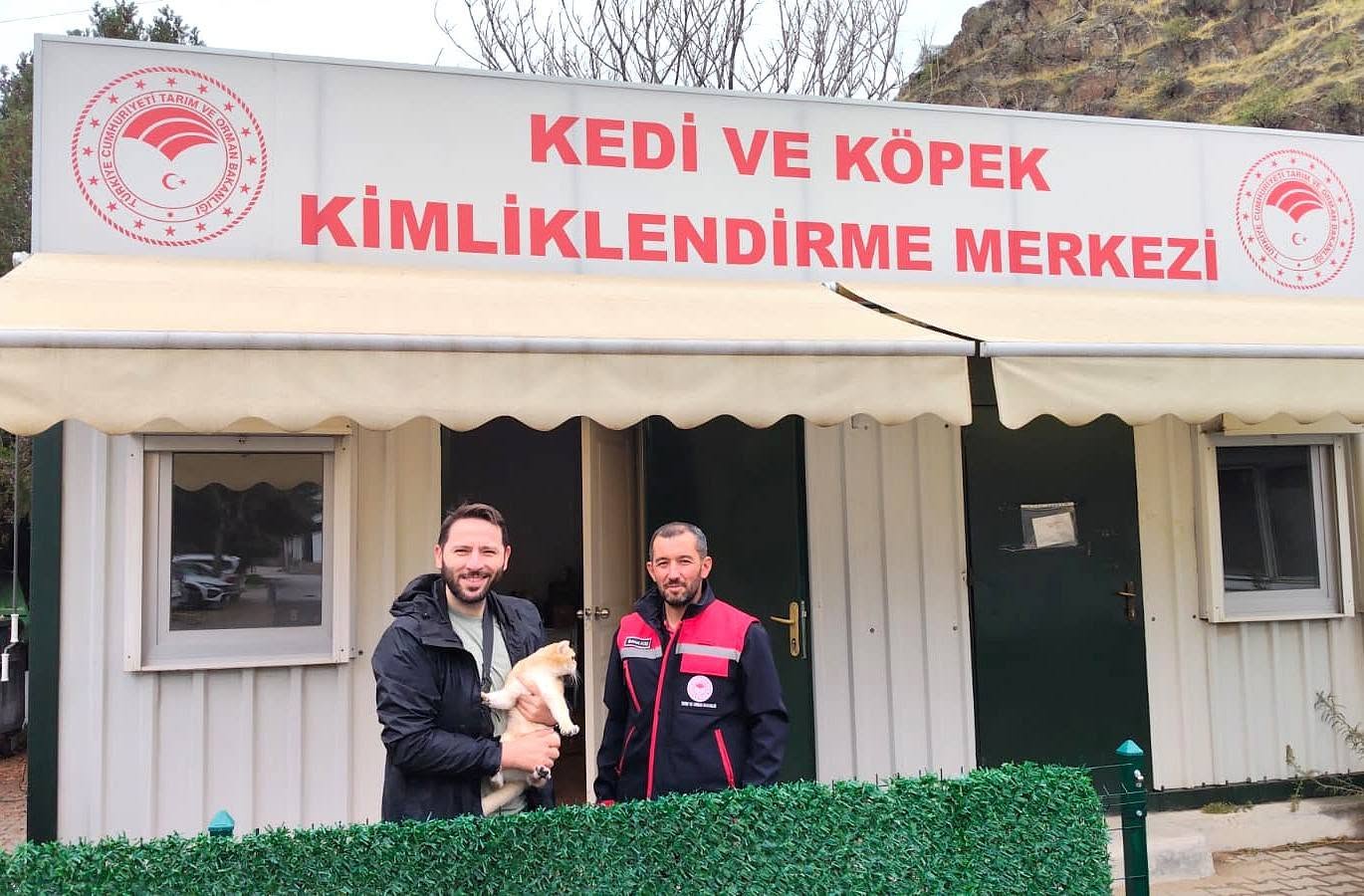 Kedi ve köpekler mikroçip ile kayıt altına alınıyor