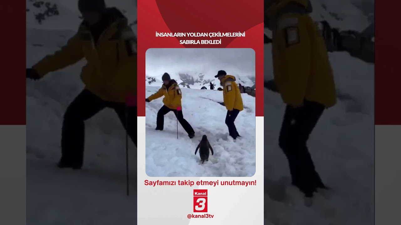 İnsanların yoldan çekilmelerini sabırla bekledi…