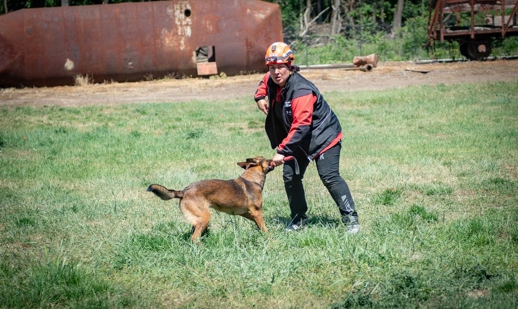 Afyonkarahisar AFAD Arama Kurtarma Birlik Müdürlüğü’nde gerçekleştirilen 2026 Köpekli Arama