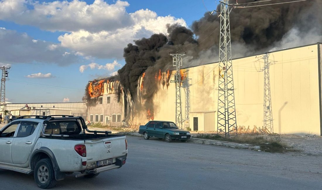 AFYONKARAHİSAR (AA) – Afyonkarahisar'ın Emirdağ ilçesinde mantar fabrikasında çıkan yangın