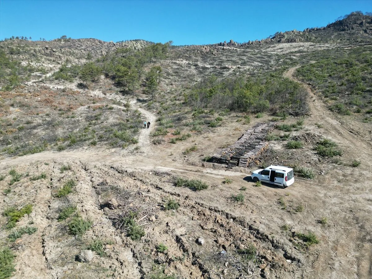 Eber Gölü ve Sarıcaova’da yangın sonrası yaban hayatı mercek altında