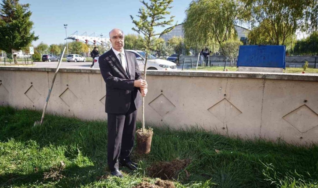 Afyonkarahisar’da Diyanet Gençlik Merkezi tarafından belediye iş birliğiyle “Bir Fidan