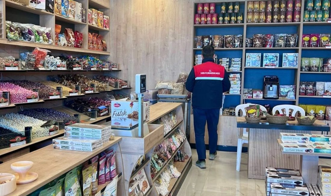 Afyonkarahisar’ın Bolvadin ilçesinde gıda güvenilirliğinin sağlanması ve tüketici sağlığının korunması