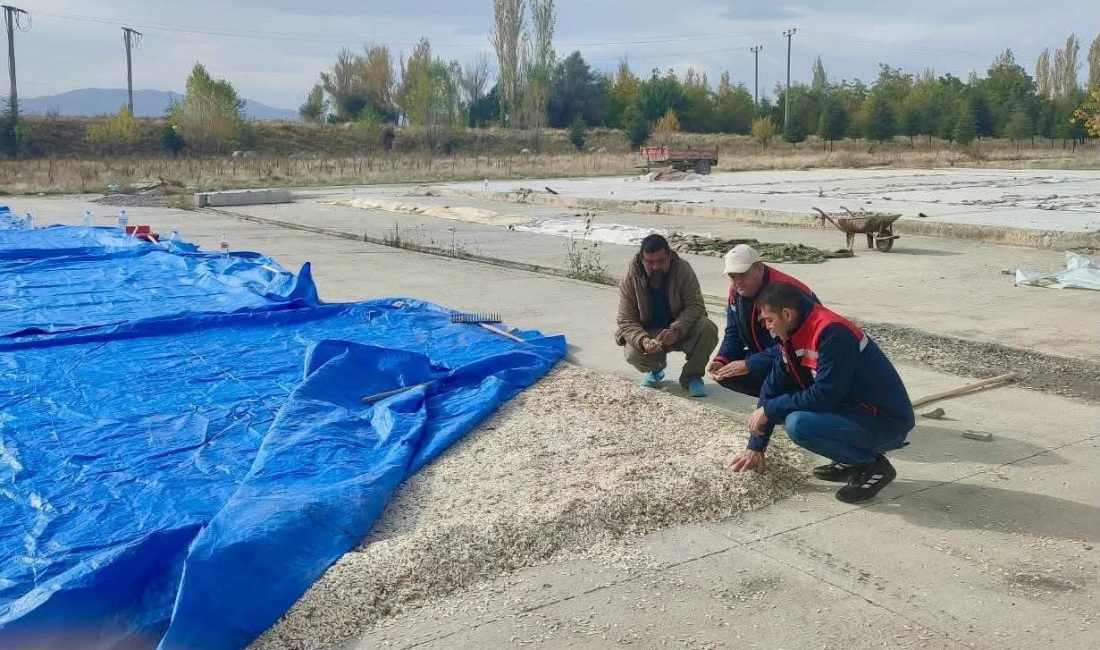Afyonkarahisar’ın Çay ilçesinde çerezlik kabak çekirdeği ve elma üreticilerine yönelik