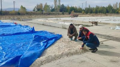 Afyonkarahisar’ın Çay ilçesinde çerezlik kabak çekirdeği ve elma üreticilerine yönelik