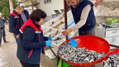 Afyonkarahisar’ın Dazkırı ilçesinde balık satış noktalarına yönelik denetim gerçekleştirildi. Dazkırı
