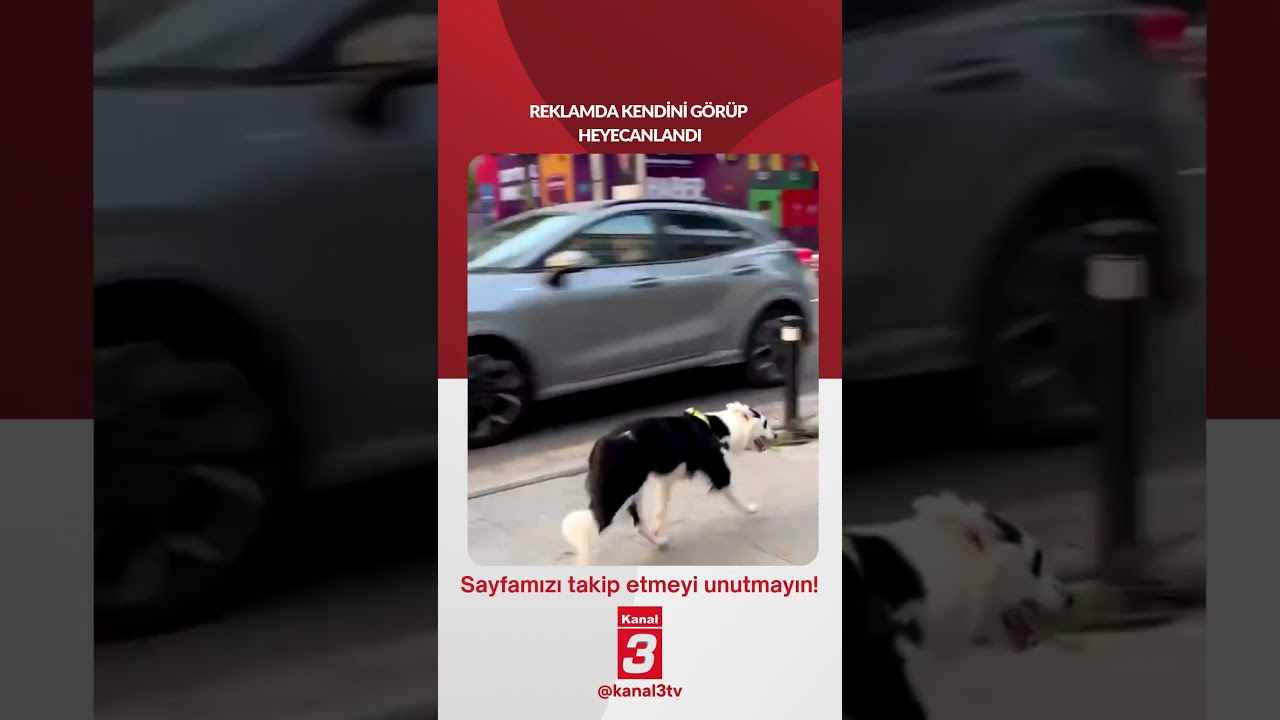 Reklamda kendini görüp heyecanlandı… https://kanal3.com.tr/ Sosyal Medya Hesaplarımızı Takip Ederek
