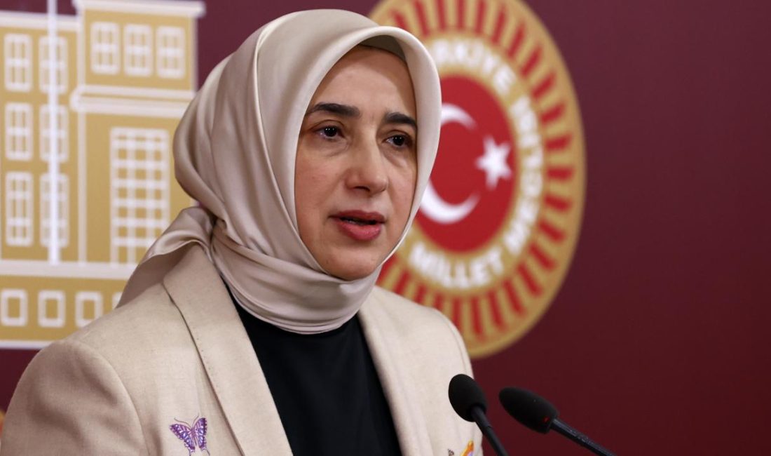 Türkiye Büyük Millet Meclisi (TBMM) Genel Kurulu, Meclis Başkanvekili Celal