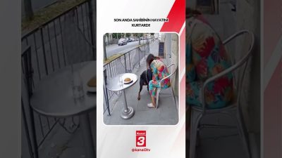 Son anda sahibinin hayatını kurtardı! 📶https://kanal3.com.tr/ Sosyal Medya Hesaplarımızı Takip