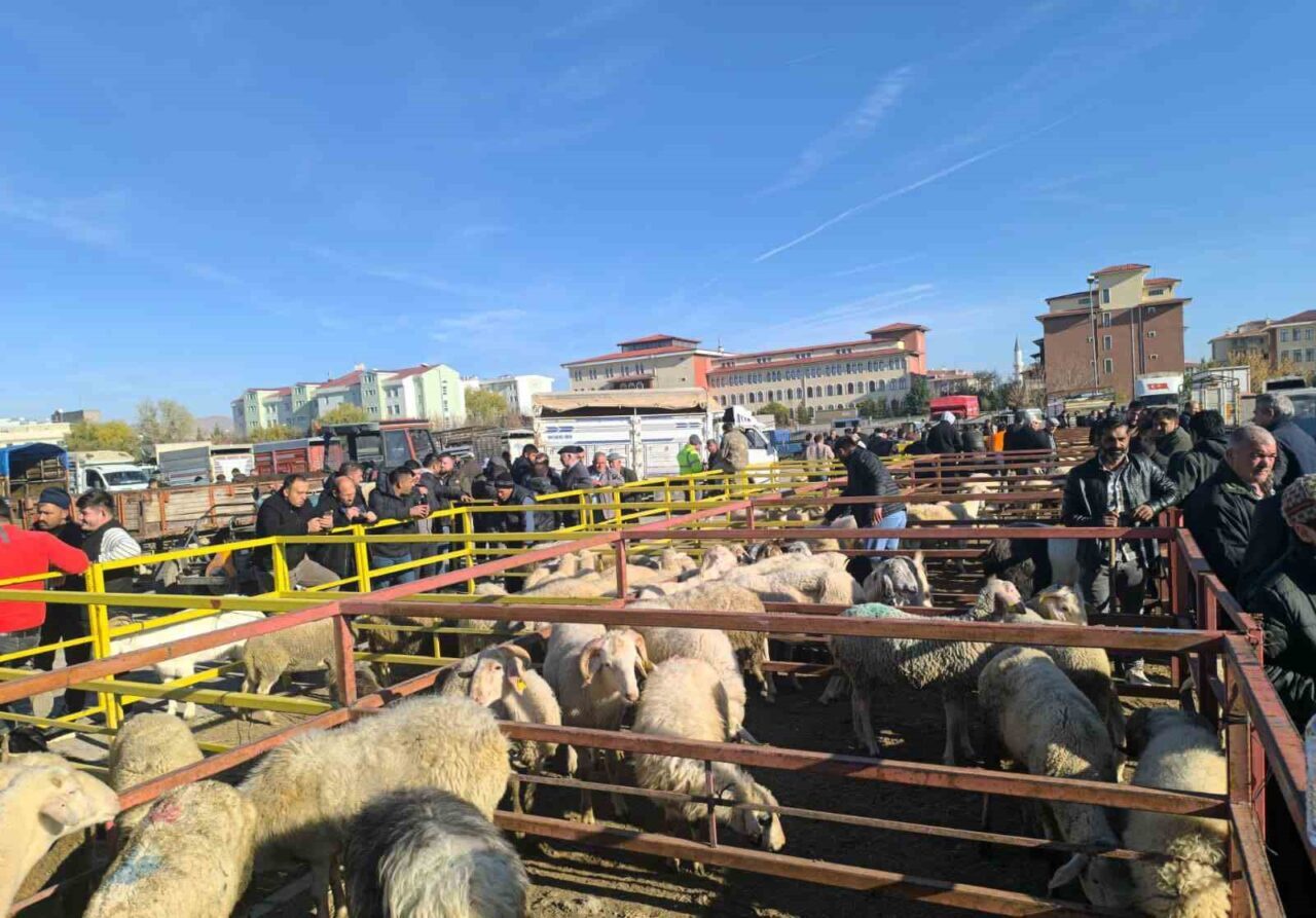 Afyonkarahisar’da şap alarmı: Çayırbağ’ın ardından Bolvadin canlı hayvan pazarı da kapatıldı!